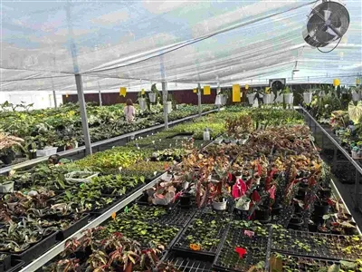 Yhteenveto kansainvälisten asiakkaidemme lastentarhan vierailusta